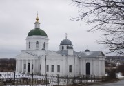 Церковь Троицы Живоначальной - Шелокша - Кстовский район - Нижегородская область