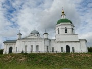 Церковь Троицы Живоначальной, , Шелокша, Кстовский район, Нижегородская область