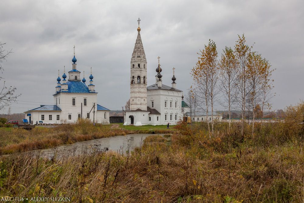 Предтеченский Иаково-Железноборовский монастырь, Борок (Буйский район, Костромская область). общий вид в ландшафте