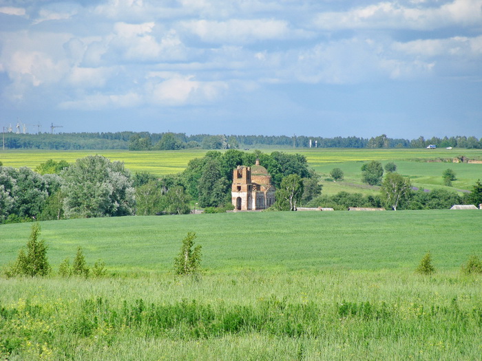 Церковь Николая Чудотворца, Елисеевичи (Брянский район, Брянская область). общий вид в ландшафте