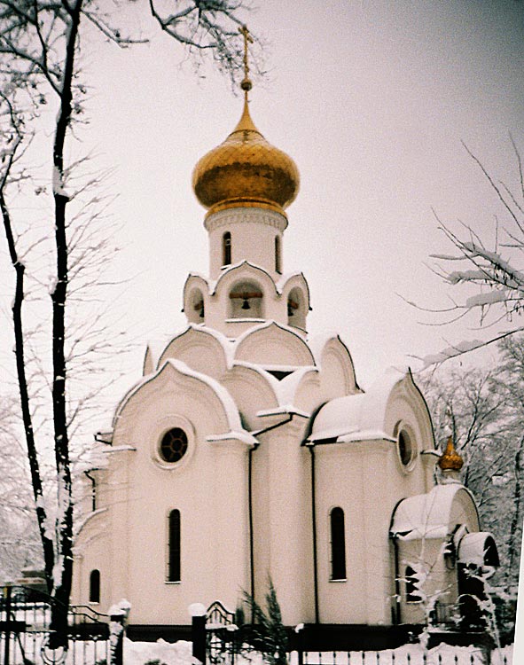 Донецк. Церковь Агапита Печерского. общий вид в ландшафте