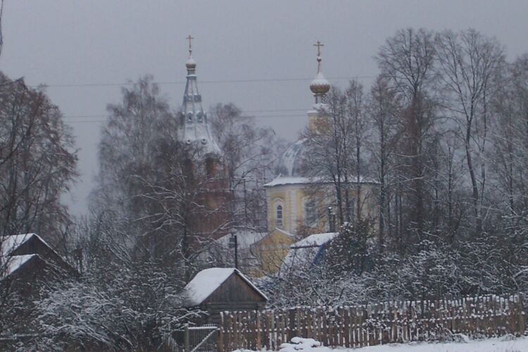 Ермолино. Воскресенская мужская Ермолинская пустынь. Церковь Воскресения Христова. общий вид в ландшафте