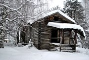 Церковь Николая Чудотворца, , Павловское (Андричевское), Вельский район, Архангельская область