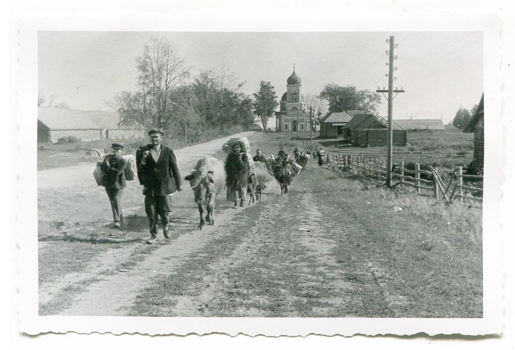 Храм в ландшафте села. Фото 1941 г. с аукциона e-bay.de, архивная фотография. Церковь Вознесения Господня, Чёрное (Батецкий район, Новгородская область)