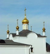 Церковь Воскресения Словущего, , Подольск, Подольский городской округ, Московская область