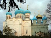 Ножкино. Покровский Авраамиево-Городецкий монастырь. Собор иконы Божией Матери 