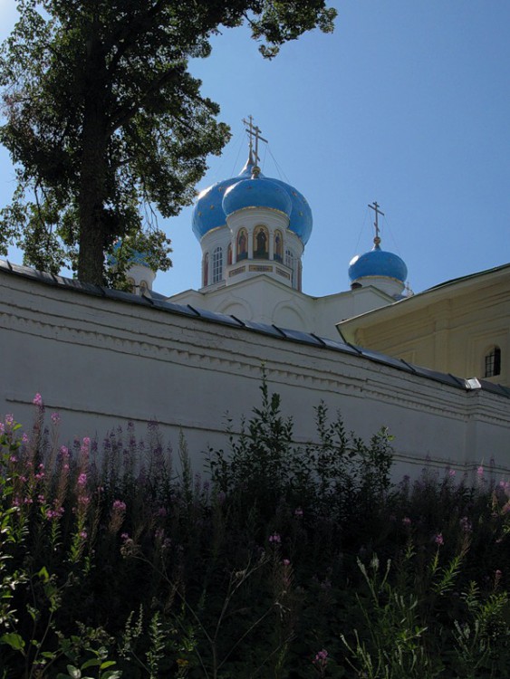 Ножкино. Покровский Авраамиево-Городецкий монастырь. Собор иконы Божией Матери 