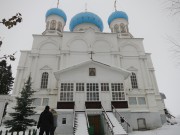 Покровский Авраамиево-Городецкий монастырь. Собор иконы Божией Матери "Умиление", Фото Людмилы Васильковой<br>, Ножкино, Чухломский район, Костромская область