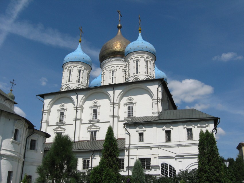 Новоспасский монастырь. Собор Преображения Господня, Таганский (Центральный административный округ (ЦАО), г. Москва). общий вид в ландшафте