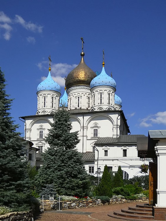 Новоспасский монастырь. Собор Преображения Господня, Таганский (Центральный административный округ (ЦАО), г. Москва). общий вид в ландшафте