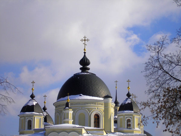 Покровский женский монастырь. Церковь Воскресения Словущего, Таганский (Центральный административный округ (ЦАО), г. Москва). архитектурные детали, Покровский женский монастырь за Покровской заставой. Вид из дворов Таганской улицы.Главы Храма Воскресения Словущего.