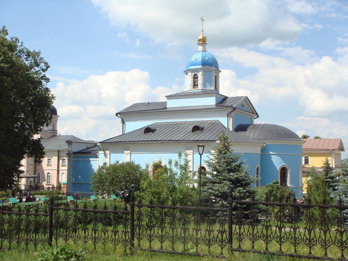Оптина Пустынь. Церковь Владимирской иконы Божией Матери, Козельск (Оптино) (Козельский район, Калужская область). общий вид в ландшафте, Вид с юга