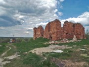 Перемышльский Шаровкин Успенский монастырь. Церковь Сергия Радонежского, , Ильинское, Перемышльский район, Калужская область