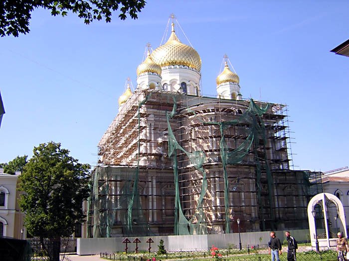 Воскресенский Новодевичий Монастырь. Собор Воскресения Христова, Московский район (Санкт-Петербург, г. Санкт-Петербург). фасады, Вид из монастыря