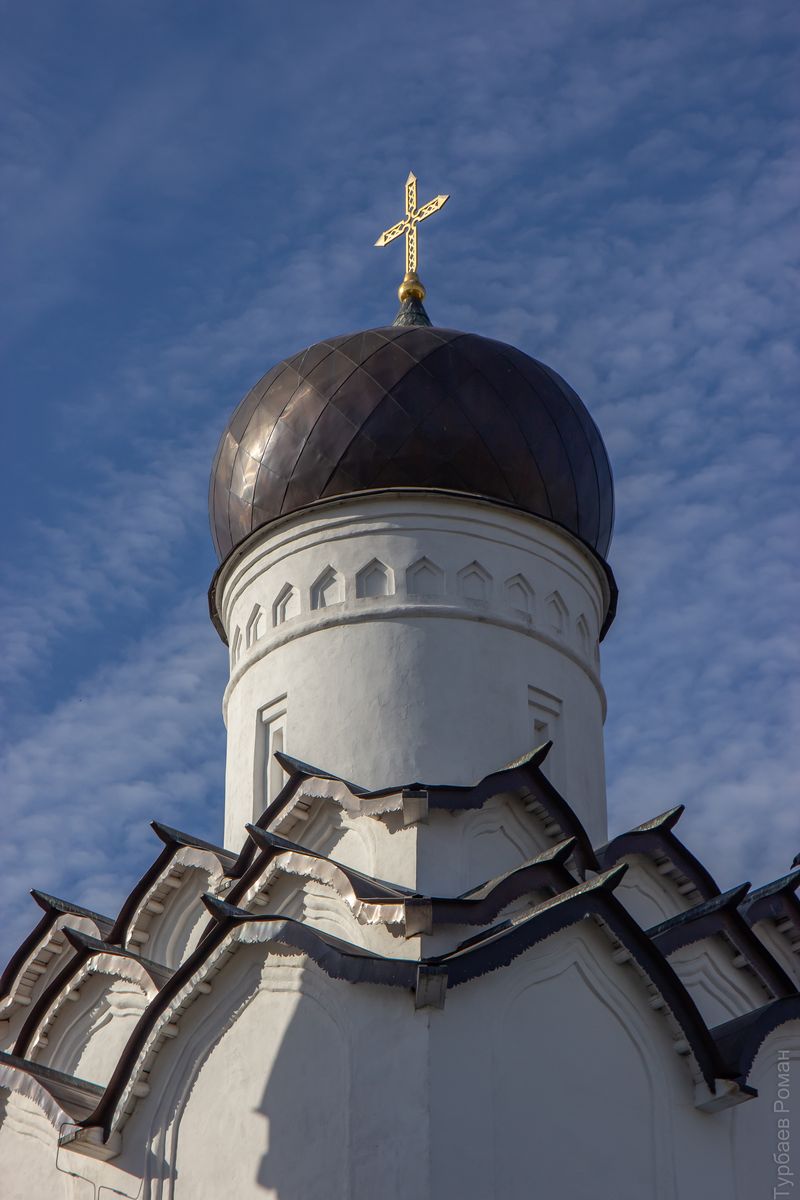 Тихвинский Богородице-Успенский мужской монастырь. Церковь Покрова Пресвятой Богородицы, Тихвин (Тихвинский район, Ленинградская область). архитектурные детали, Глава