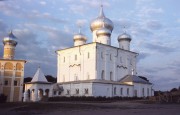 Варлаамо-Хутынский Спасо-Преображенский монастырь. Собор Преображения Господня, , Хутынь, Новгородский район, Новгородская область