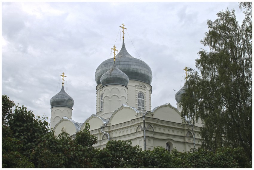 Великий Новгород. Зверин монастырь. Собор Покрова Пресвятой Богородицы. архитектурные детали