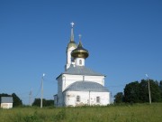 Церковь Рождества Пресвятой Богородицы, , Радушино, Зарайский городской округ, Московская область