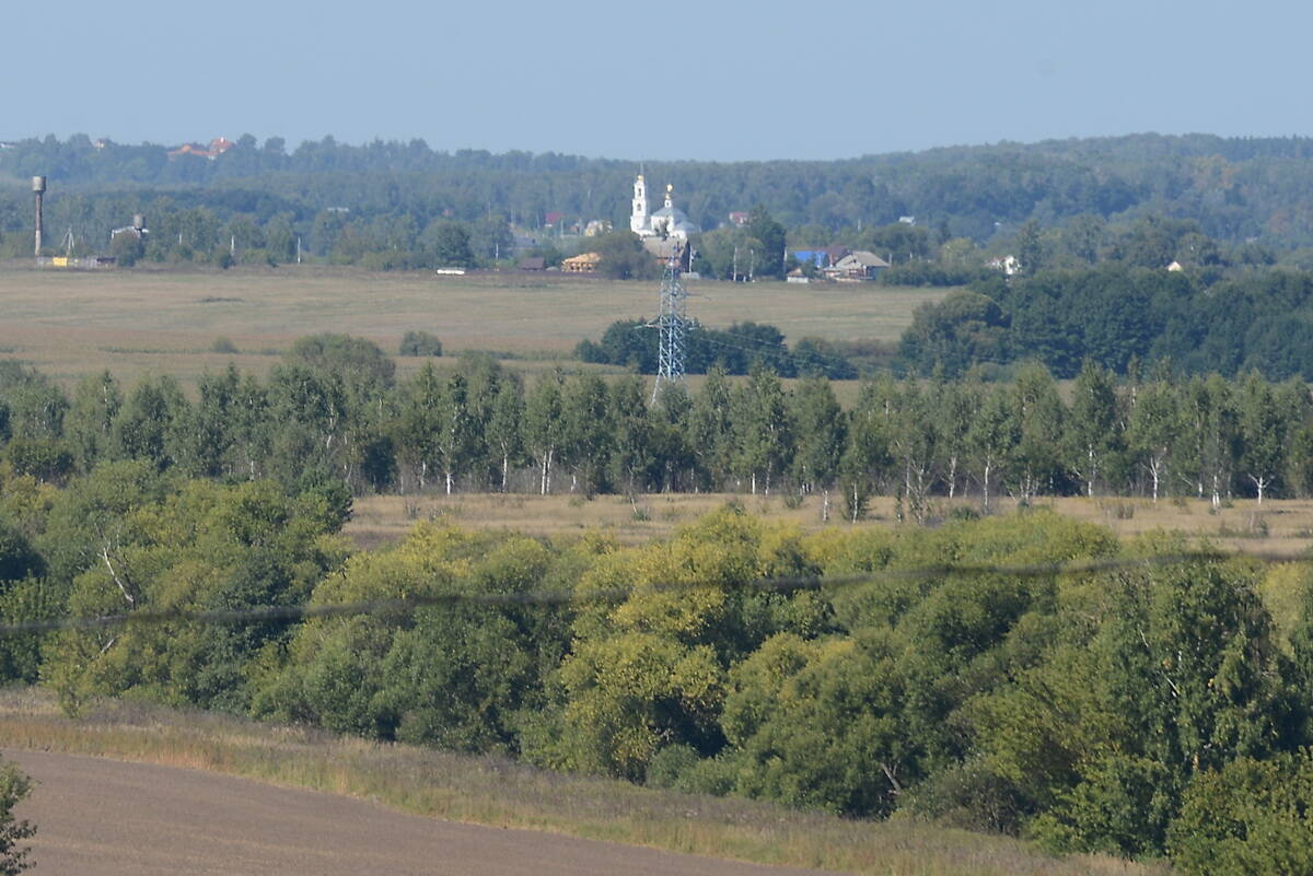 Церковь Рождества Пресвятой Богородицы, Радушино (Зарайский городской округ, Московская область). общий вид в ландшафте, Вид от Зарайского кремля