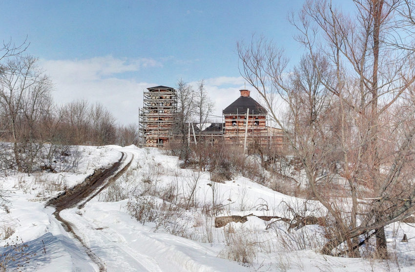 Церковь Сошествия Святого Духа, Моногарово (Зарайский городской округ, Московская область). общий вид в ландшафте