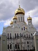 Собор Троицы Живоначальной ("Троице-Владимирский") - Новосибирск - Новосибирск, город - Новосибирская область