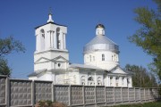 Церковь Димитрия Ростовского, , Дмитриевское, Заокский район, Тульская область