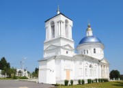 Церковь Димитрия Ростовского, , Дмитриевское, Заокский район, Тульская область