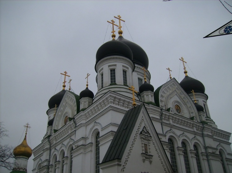 Николо-Перервинский монастырь. Собор Иверской иконы Божией Матери, Печатники (Юго-Восточный административный округ (ЮВАО), г. Москва). архитектурные детали
