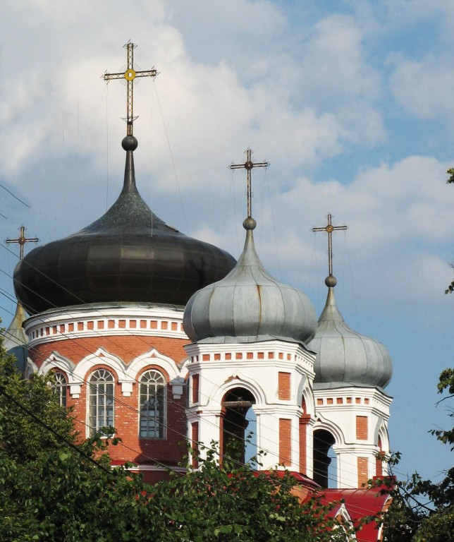 Собор Смоленской иконы Божией Матери, Козьмодемьянск (Козьмодемьянск, город, Республика Марий Эл). архитектурные детали, Купола....