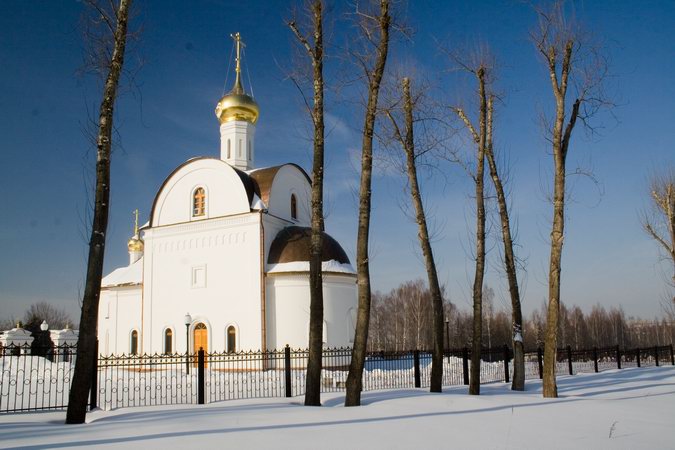 Церковь Николая Подольского, Подольск (Подольский городской округ, Московская область). общий вид в ландшафте