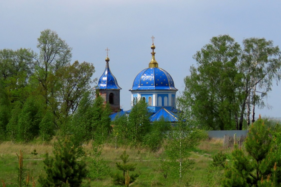Церковь Успения Пресвятой Богородицы, Досчатое (Выкса, ГО, Нижегородская область). фасады