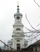 Церковь Троицы Живоначальной, вид с запада<br>, Досчатое, Выкса, ГО, Нижегородская область