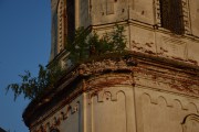 Церковь Спаса Нерукотворного Образа - Илев - Вознесенский район - Нижегородская область