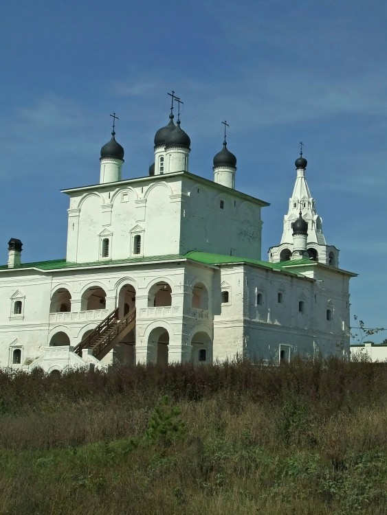 Богородице-Рождественский Анастасов монастырь. Собор Рождества Пресвятой Богородицы, Анастасово (Одоевский район, Тульская область). художественные фотографии