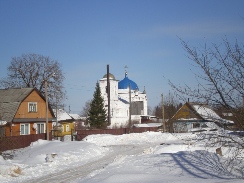 Угловка. Церковь Рождества Христова. общий вид в ландшафте