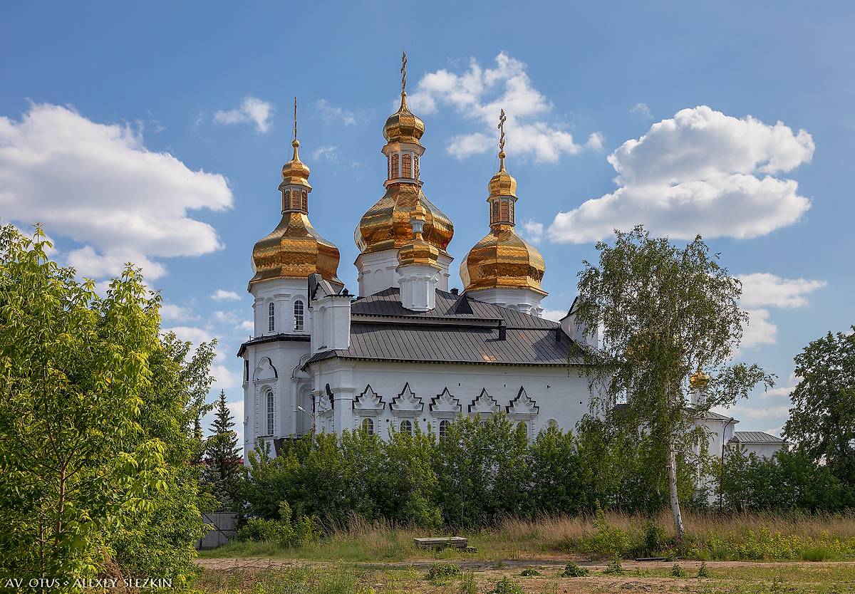 общий вид в ландшафте. Троицкий монастырь. Собор Троицы Живоначальной, Тюмень (Тюмень, город, Тюменская область)