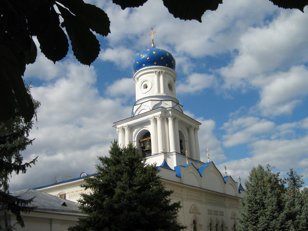 Святогорск. Успенская Святогорская лавра. Церковь Покрова Пресвятой Богородицы. архитектурные детали