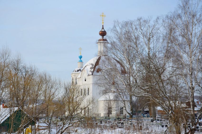Товарищево. Церковь Казанской иконы Божией Матери. общий вид в ландшафте