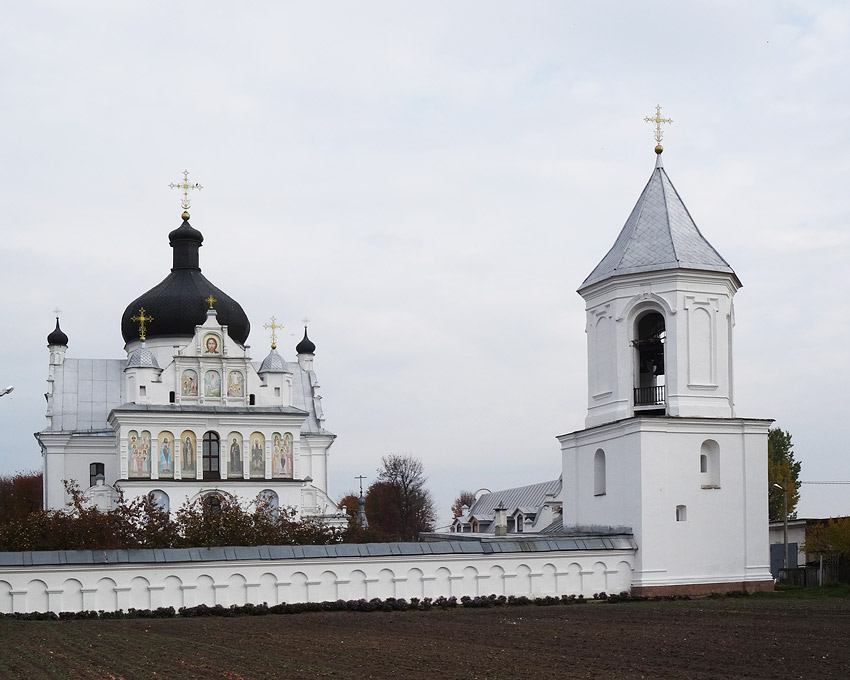 Никольский монастырь, Могилёв (Могилёв, город, Беларусь, Могилёвская область). общий вид в ландшафте, Вид с запада на Никольский собор и звонницу