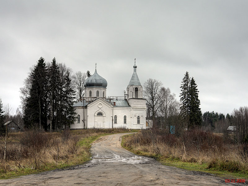 Мшенцы. Церковь Параскевы Пятницы. общий вид в ландшафте