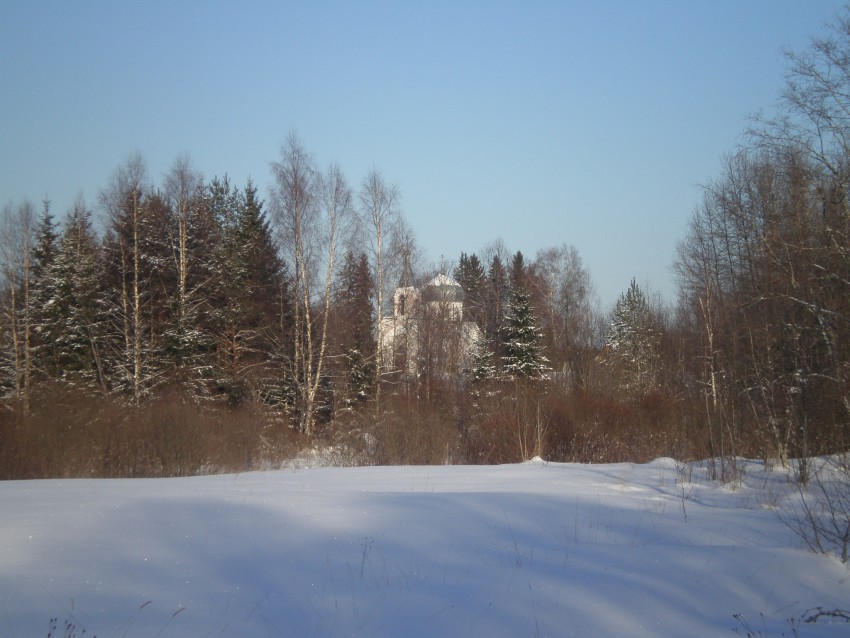 Церковь Параскевы Пятницы, Мшенцы (Бологовский район, Тверская область). общий вид в ландшафте