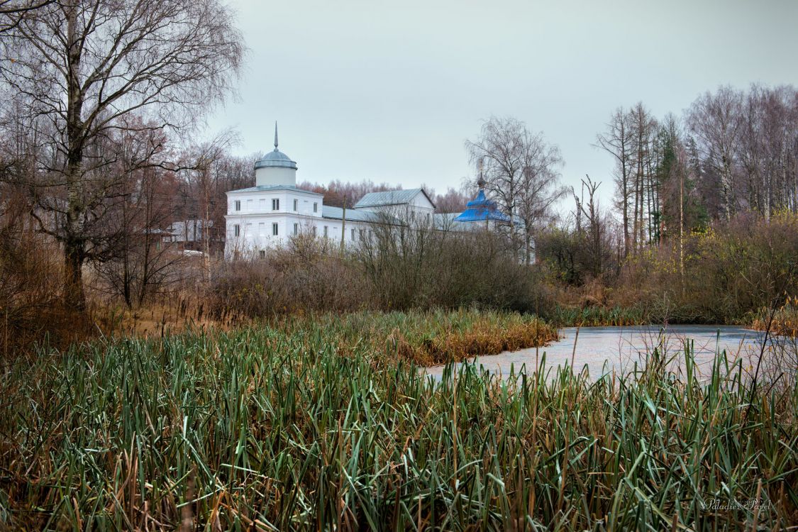 Некрасовское. Николо-Бабаевский монастырь. Церковь Иоанна Златоуста. общий вид в ландшафте