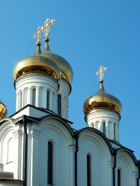 Никольский женский монастырь. Собор Николая Чудотворца, Переславль-Залесский (Переславский район и г. Переславль-Залесский, Ярославская область). архитектурные детали