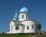 Покрово-Тервенический женский монастырь. Церковь Покрова Пресвятой Богородицы, Общий вид с юго-востока<br>, Тервеничи, Лодейнопольский район, Ленинградская область