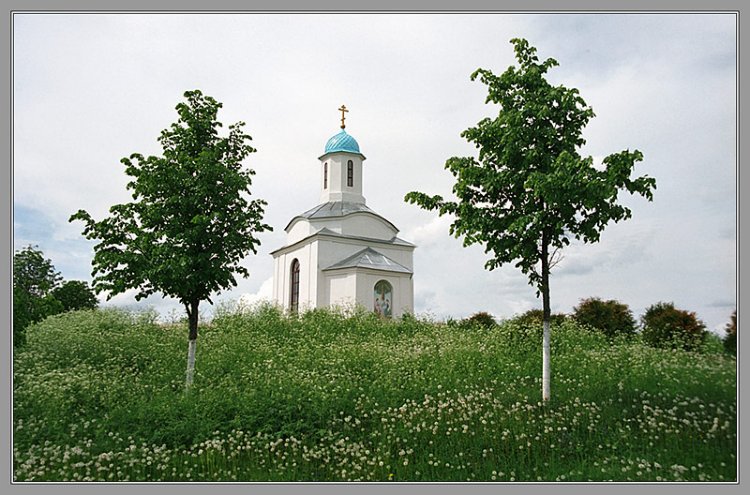Тервеничи. Покрово-Тервенический женский монастырь. Часовня Троицы Живоначальной. общий вид в ландшафте