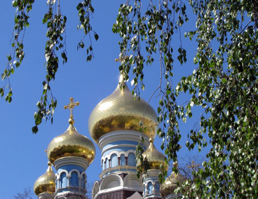 Покровский женский монастырь. Собор Николая Чудотворца, Кудрявец (Шевченковский район, Украина, г. Киев). архитектурные детали, Купола собора Николая Чудотворца