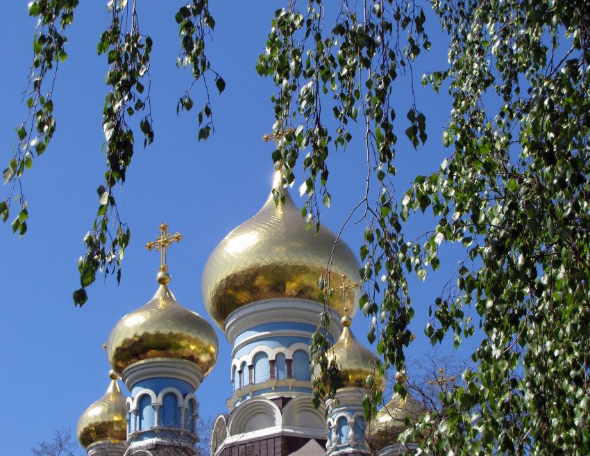 Киев. Покровский женский монастырь. Собор Николая Чудотворца. архитектурные детали, Купола собора Николая Чудотворца