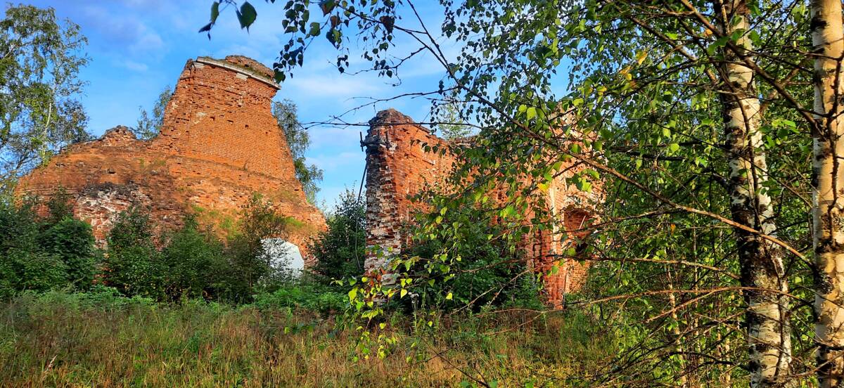 Церковь Спаса Нерукотворного Образа, Даратники (Переславский район и г. Переславль-Залесский, Ярославская область). общий вид в ландшафте