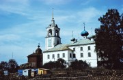 Церковь Благовещения Пресвятой Богородицы - Дмитриево - Череповецкий район - Вологодская область
