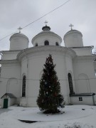 Собор Троицы Живоначальной, , Кинешма, Кинешемский район, Ивановская область